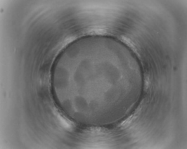 X0000088470439200706121533