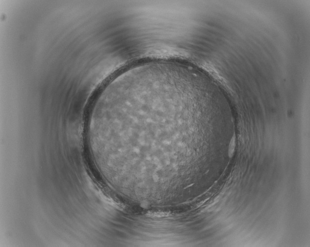 X0000088470440200706121533