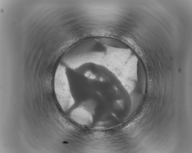 X0000088470441200706121533