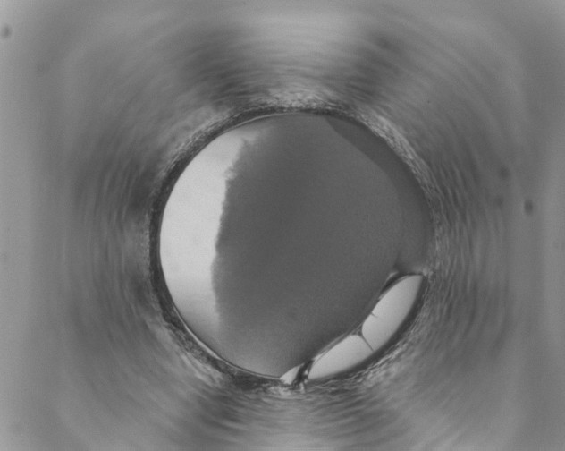 X0000088470442200706121533