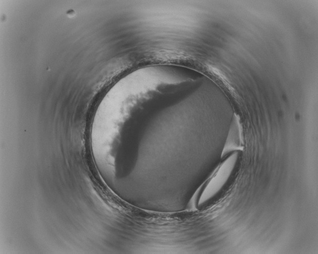 X0000088470443200706121533