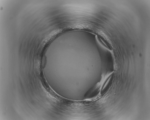 X0000088470444200706121533