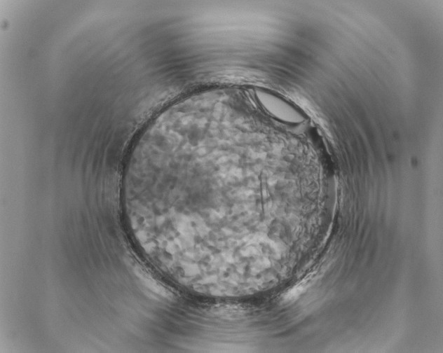 X0000088470445200706121533