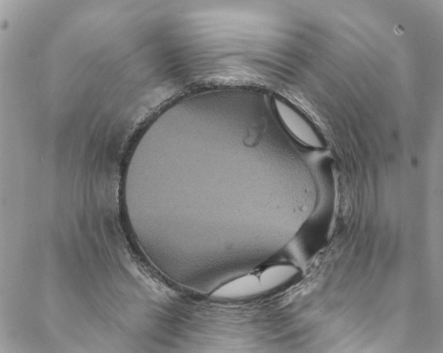 X0000088470446200706121533