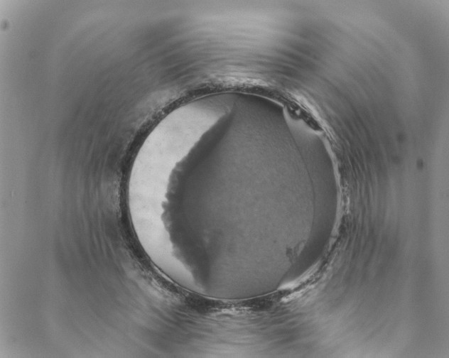 X0000088470447200706121533