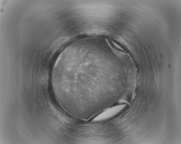 X0000088470448200706121533