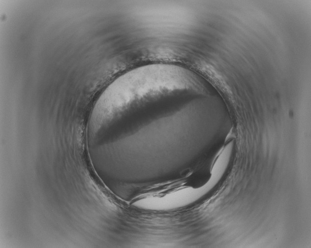 X0000088470449200706121533