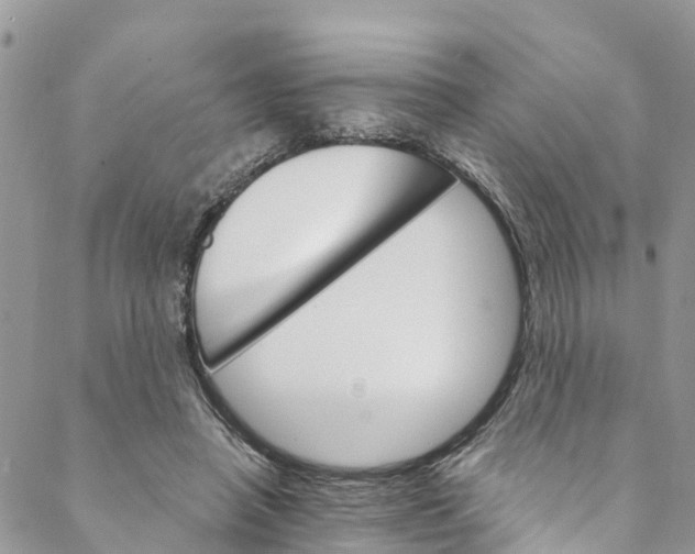 X0000088470450200706121533