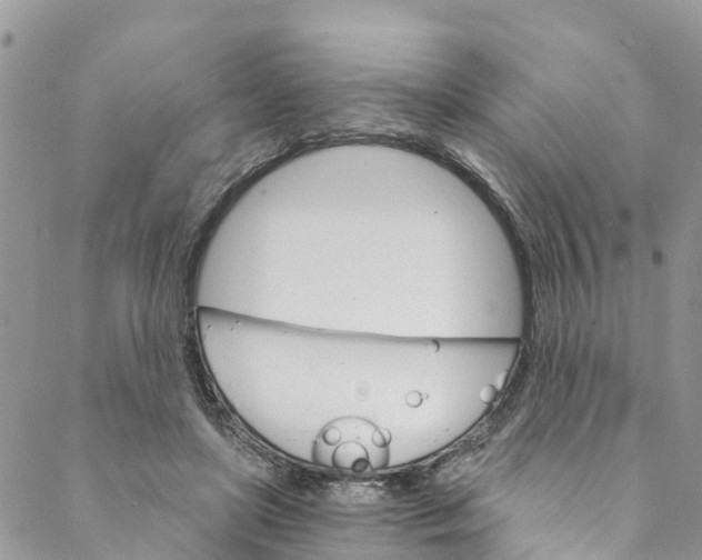 X0000088470451200706121533