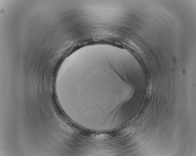 X0000088470452200706121533