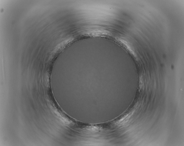 X0000088470453200706121533