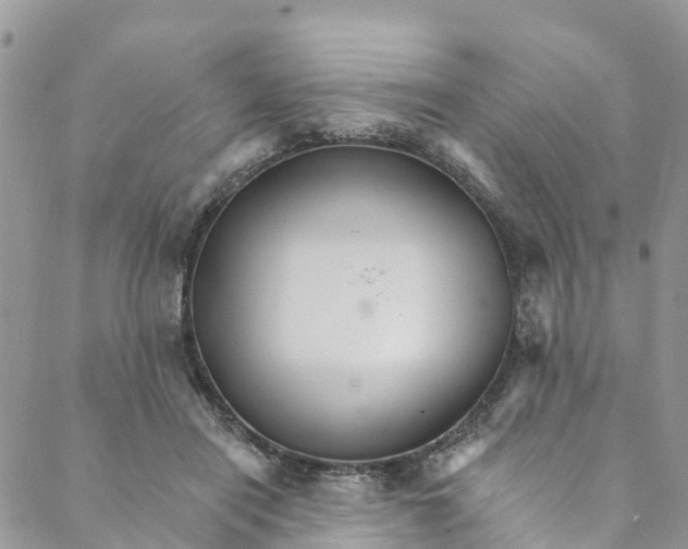 X0000088470454200706121533