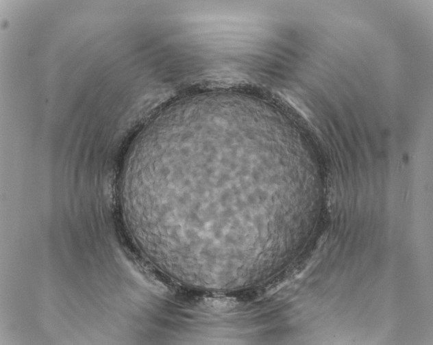 X0000088470455200706121533