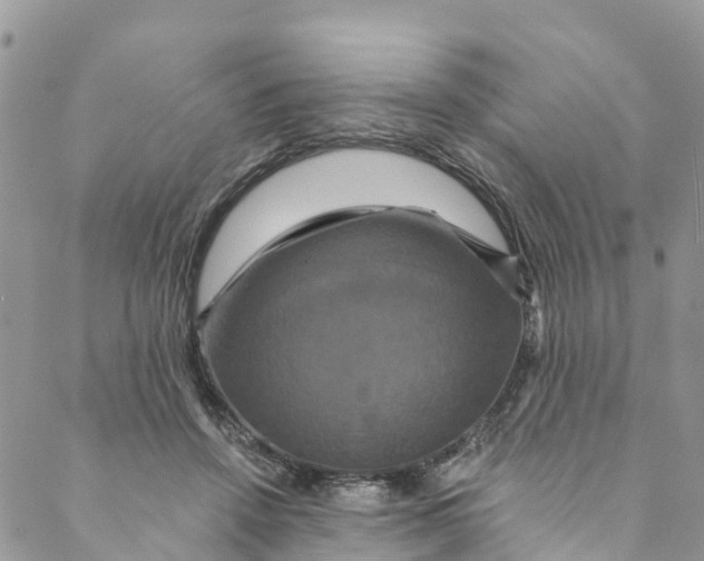 X0000088470456200706121533