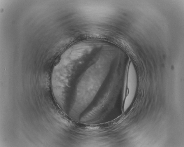 X0000088470457200706121533