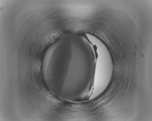 X0000088470458200706121533