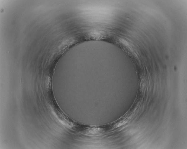 X0000088470459200706121533