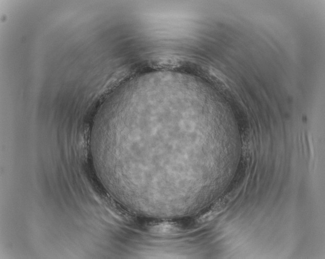 X0000088470460200706121533