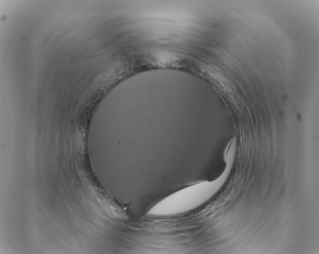 X0000088470461200706121533