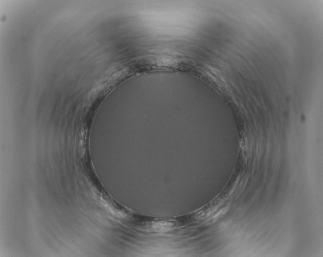 X0000088470462200706121534