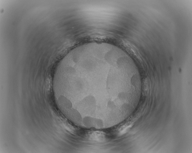 X0000088470463200706121534