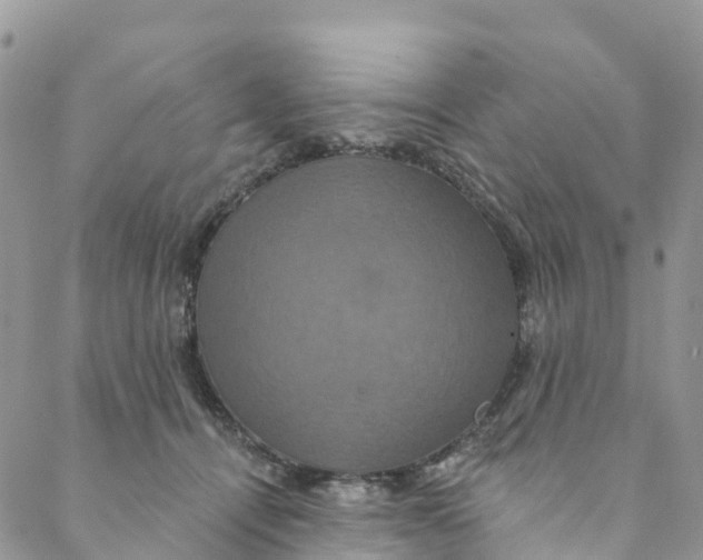 X0000088470464200706121534