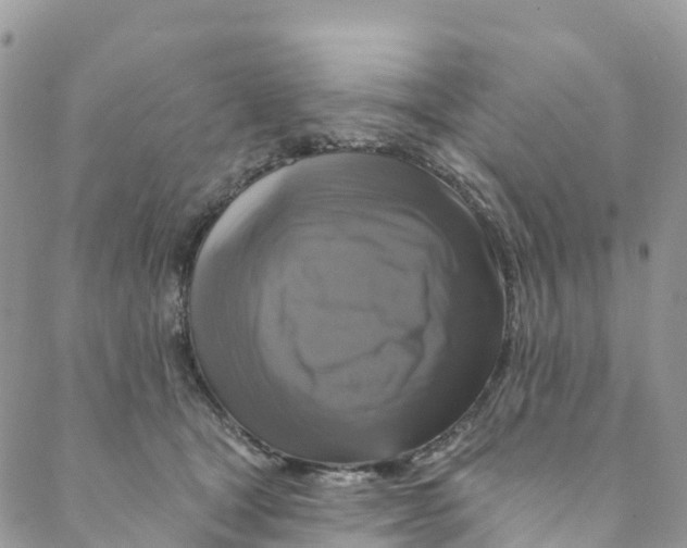 X0000088470465200706121534