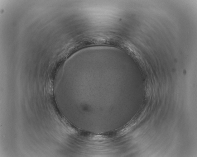 X0000088470467200706121534