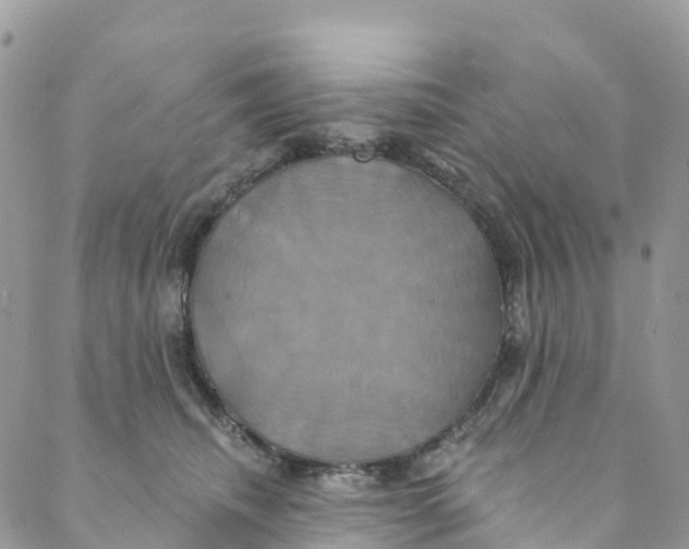 X0000088470468200706121534