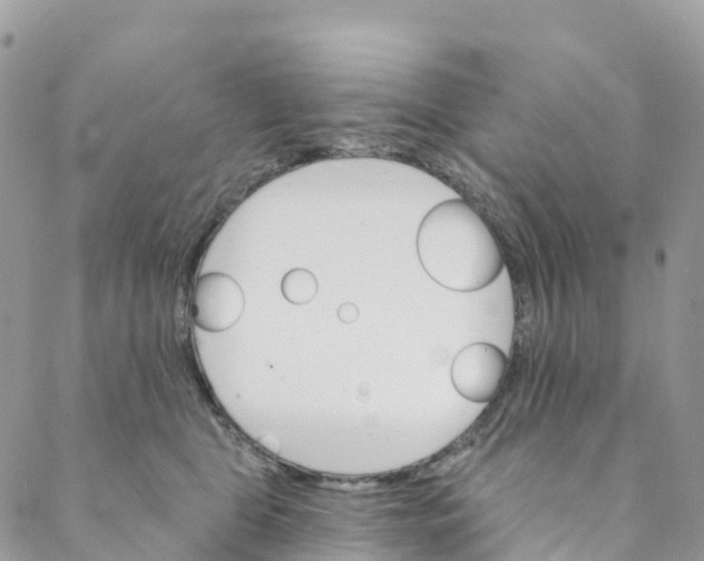 X0000088470469200706121534