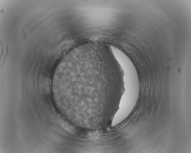 X0000088470470200706121534