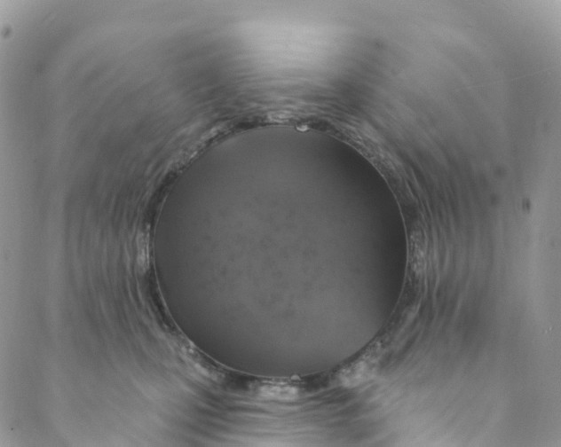 X0000088470471200706121534