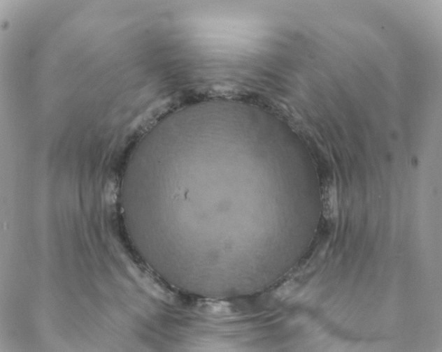 X0000088470472200706121534