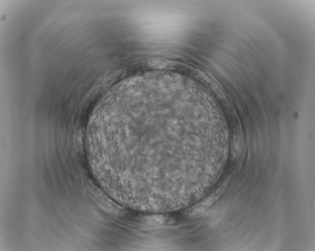 X0000088470473200706121534