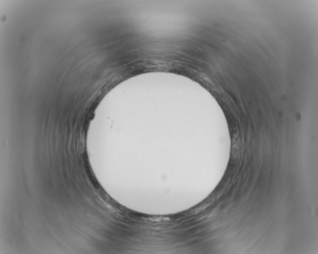 X0000088470474200706121534