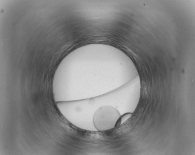 X0000088470475200706121534