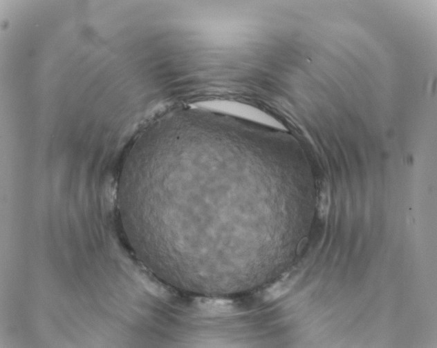 X0000088470476200706121534