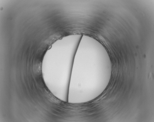 X0000088470477200706121534