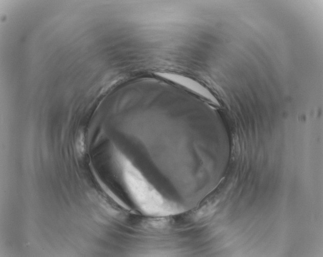 X0000088470479200706121534