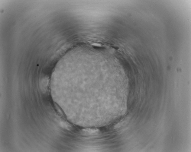 X0000088470480200706121534