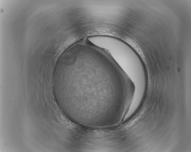 X0000088470481200706121533