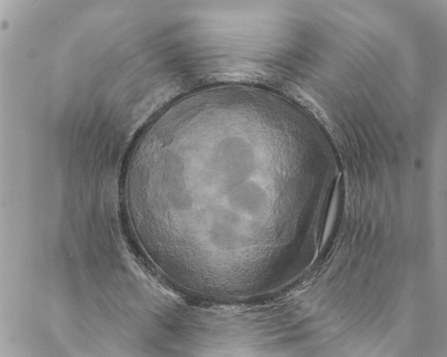 X0000088470482200706121533