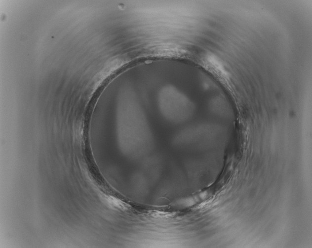 X0000088470483200706121533