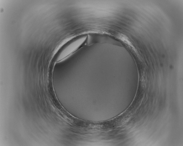 X0000088470484200706121533