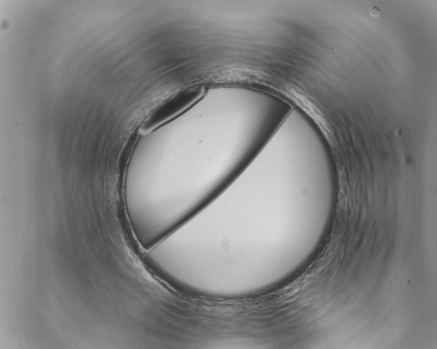 X0000088470485200706121533