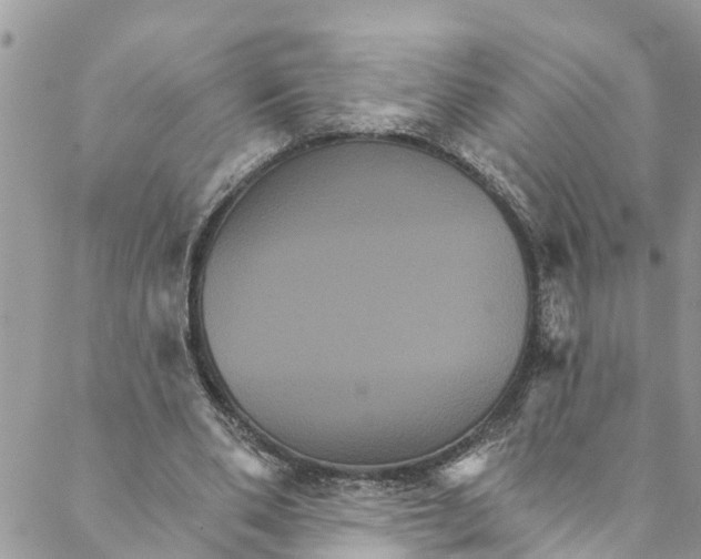 X0000088470486200706121533