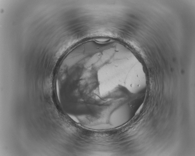 X0000088470487200706121533