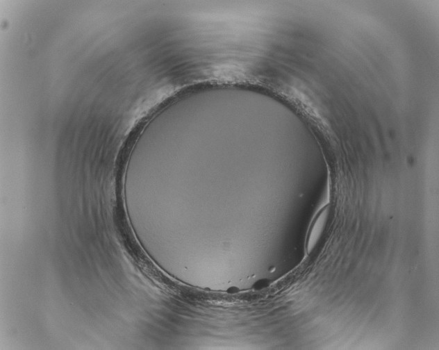 X0000088470488200706121533