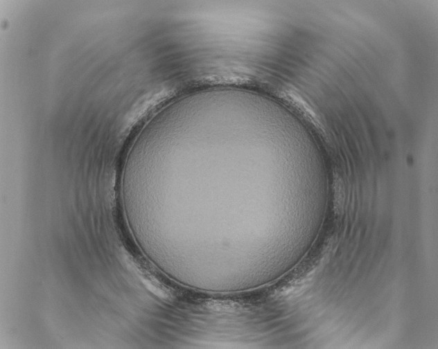 X0000088470490200706121533