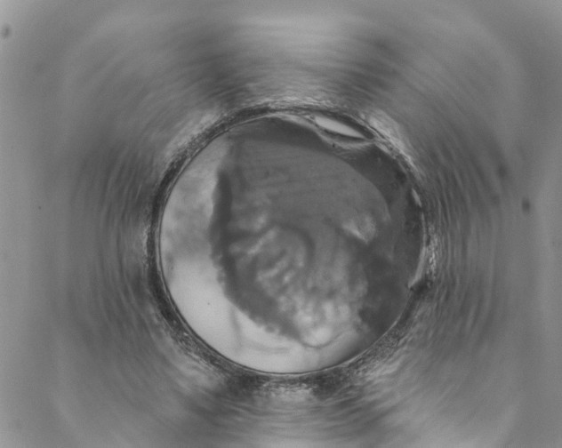 X0000088470491200706121533